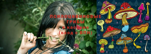 ECSTASY Аркадак