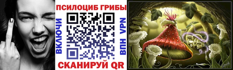 Купить где  Сунжа  Псилоцибиновые грибы ЛСД 