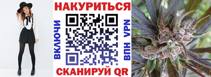 Купить  Сунжа  Шишки марихуана SATIVA & INDICA 